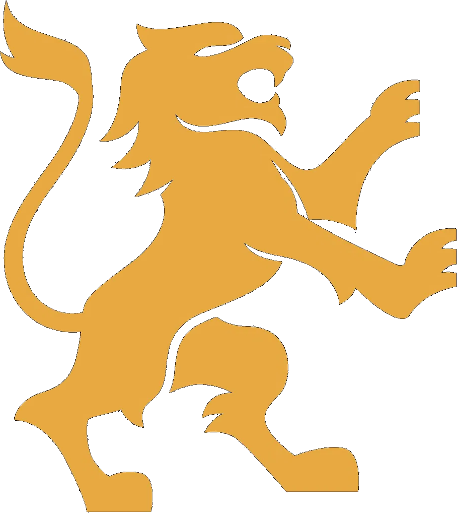 Big Cat General Contractor