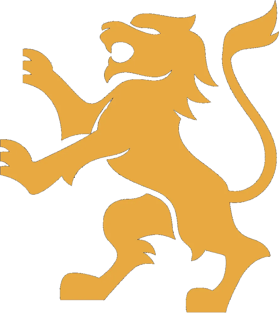 Big Cat General Contractor